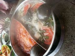 酸汤鱼锅底-芦苇荡·酸汤鱼(回龙观店)