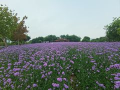 -厦门园林博览苑