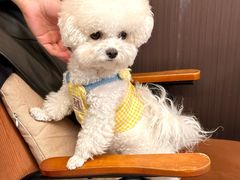 -沏点Trattoria意大利餐厅(新街口店)