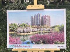 -堤角公园