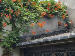 -文儒九号·闽菜馆(三坊七巷店)