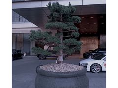 -四季酒店·空中花园 Aria on 9