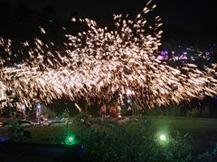 -大塘金香草谷