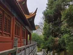 -炎帝陵景区