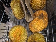 -鲜力达果品批发直销(青山店)