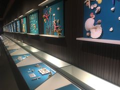-青岛贝壳博物馆