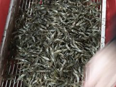 -珍宝蟹舫·巴城味道(巴城总店)