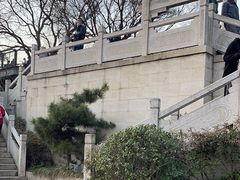 -紫金山山顶公园