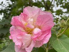 -白鹭湾湿地公园