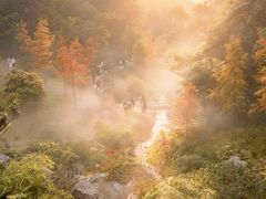 -云溪植物园