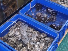 -QQ海鲜餐厅