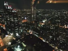 -东京都厅舍