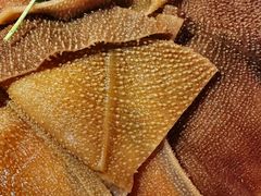 -小四川老火锅(欧风店)