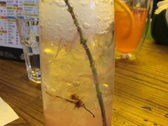 -奇醜的猴子咖啡(财信广场店)