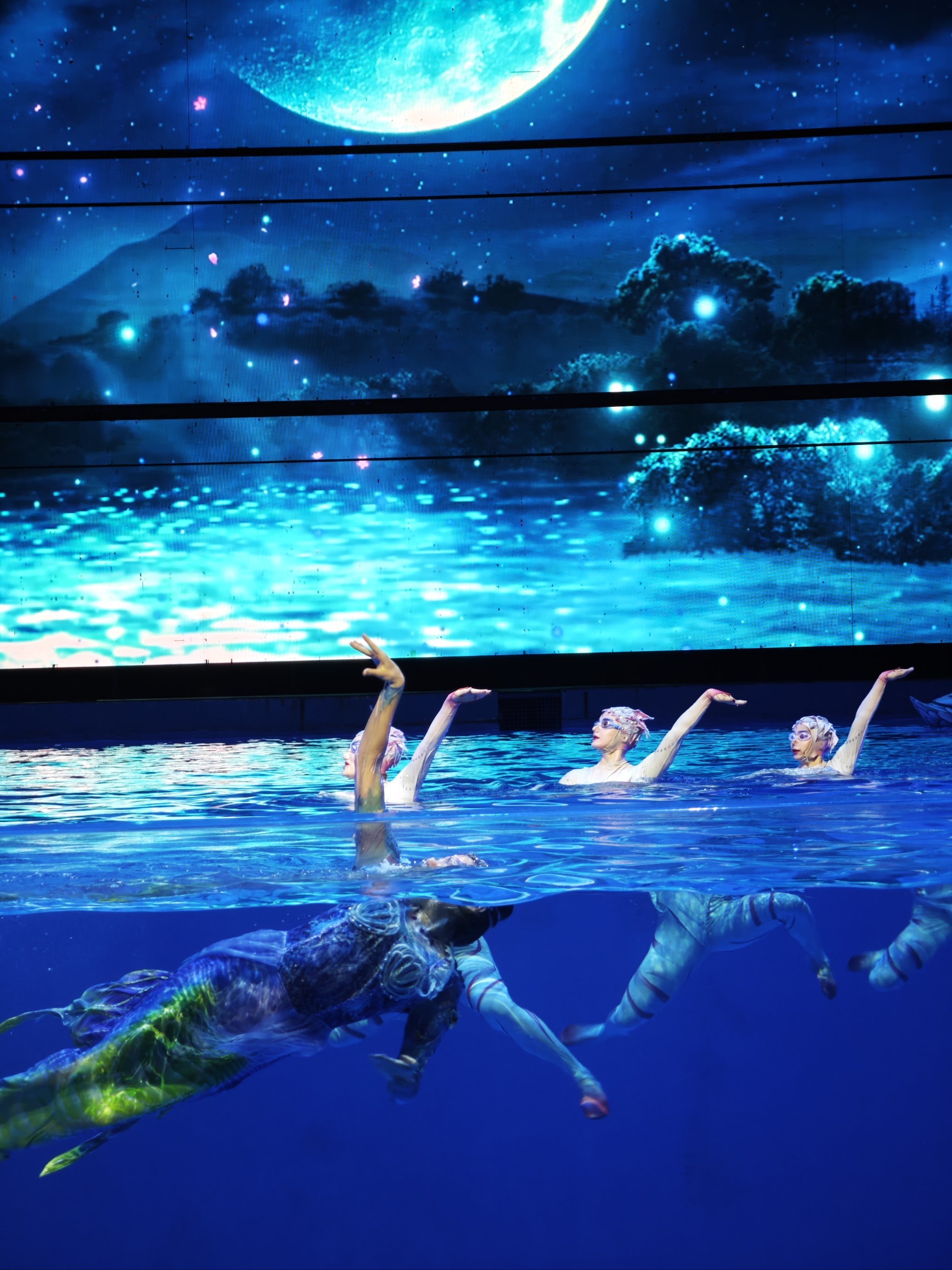 看过4次c秀给出的观演总结‼️