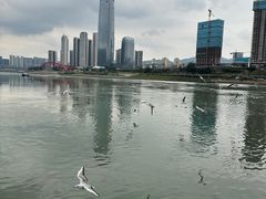 -中国宜宾·长江地标广场