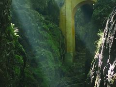 -青龙山国家森林公园