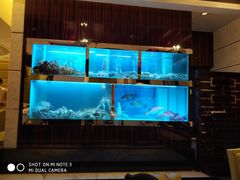 -金悦轩海鲜酒家(银河店)