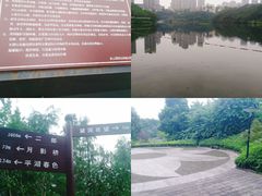 -重庆彩云湖湿地公园