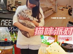 -猫咪派对(江南西店)