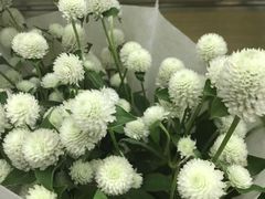 -亭亭鲜花店(中山北路店)
