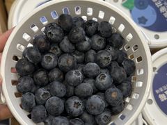 -PAGODA百果园(台柳路凯德广场店)