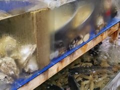 水产区-阿杰臻选海鲜饭店(普陀山店)