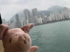 -龙凤冰室