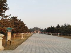 -茂陵博物馆