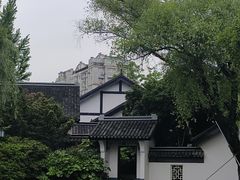 -红梅公园