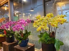 -双季花艺园艺市场(浦东店)
