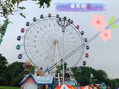 -花博汇(知音花月夜)