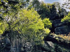 -梭布垭石林景区