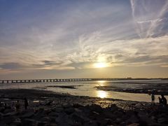 -宝安西湾红树林湿地公园