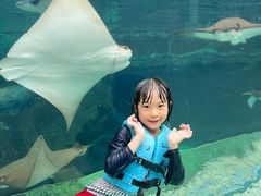-新加坡水上探险乐园