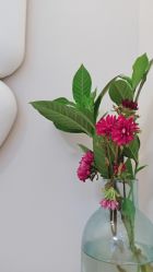 -美愈美肤MEIYU SKIN