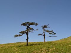 -秦岭风景区