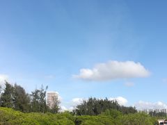 -宝安西湾红树林湿地公园