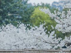 -中国茶叶博物馆(双峰馆区)
