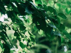 -时光花园(白鹭洲店)