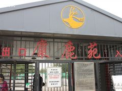 -北京麋鹿生态实验中心