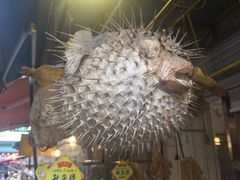 -大澳渔村及棚屋