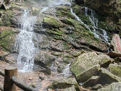 -五女峰国家森林公园