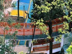 -南山植物园