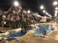 -中铁花水湾温泉酒店(大邑店)