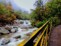 -青峰峡国家森林公园