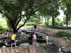 -成都市活水公园