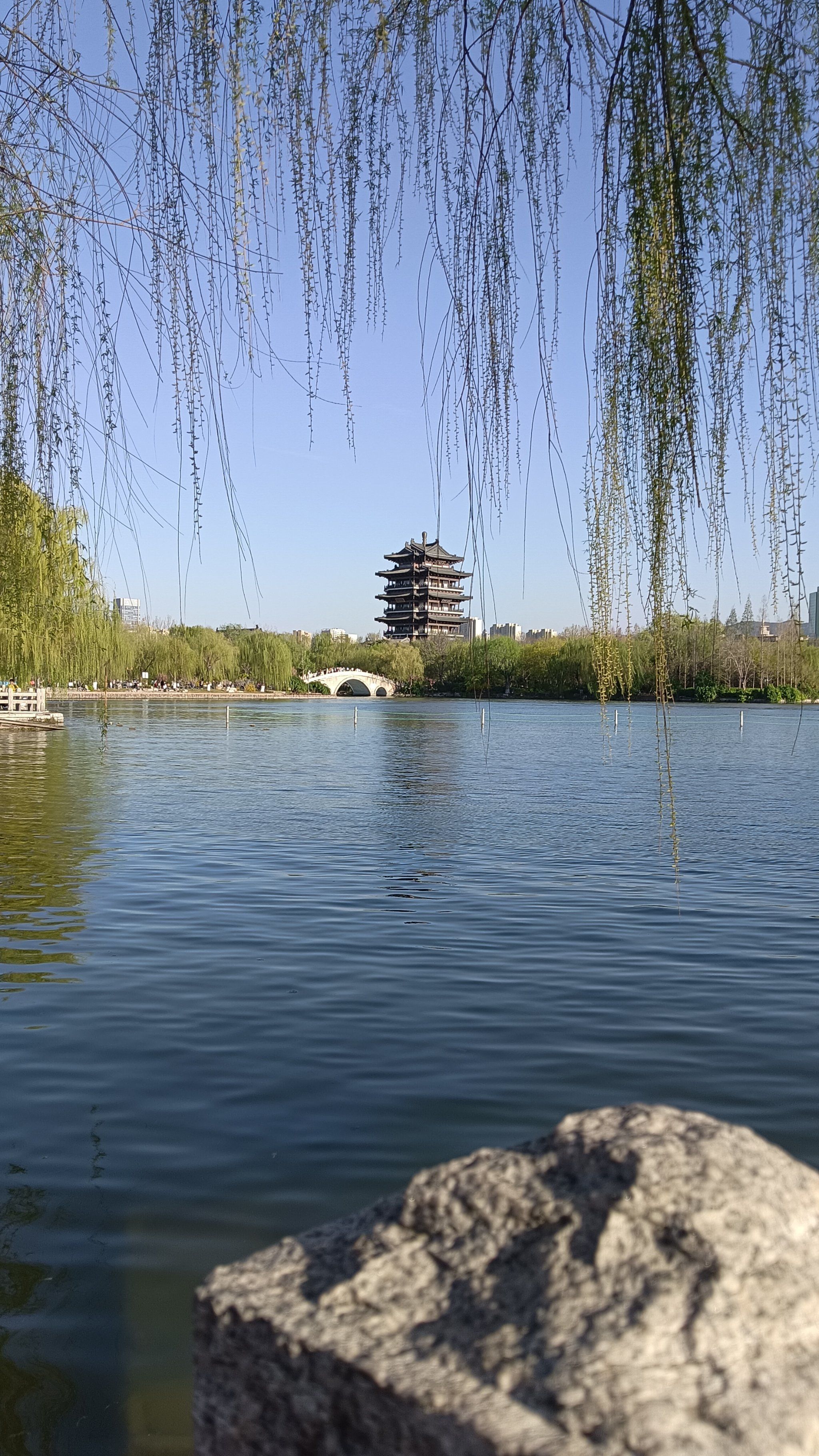 美丽 4🈷️大明湖