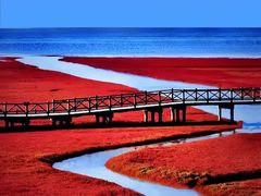 -红海滩国家风景廊道