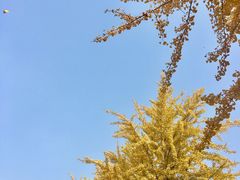 -辽宁大学(崇山校区)